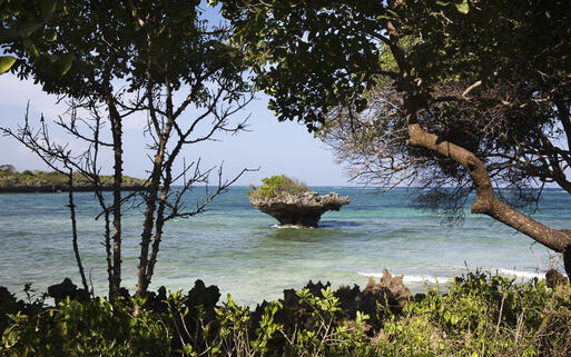 Korallenriff Felsen auf der traumhaften Insel Chale in der Nähe von Mombasa, Kenia © ostill / Shutterstock.com
