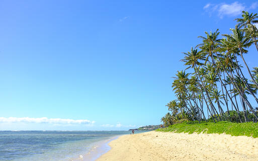Der Kahala Beach, Hawaii - Insel Oahu, USA © Dhoxax / Shutterstock.com