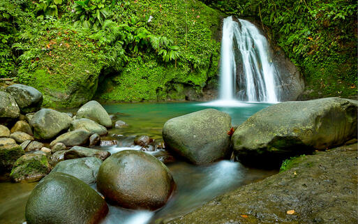 Wasserfall auf der tropisch-karibischen Insel Guadeloupe in der Karibik © Neil Burton / Shutterstock.com