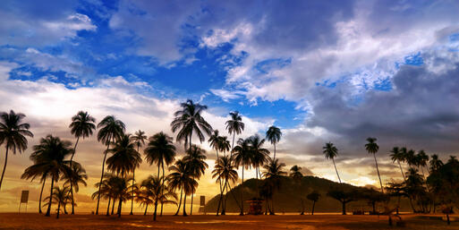 Maracas Beach Panorama © Altin Osmanaj / Shutterstock.com