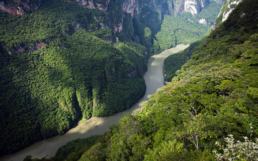 Nationalpark Cañón del Sumidero, Mexiko © Dmitry Saparov / Shutterstock.com