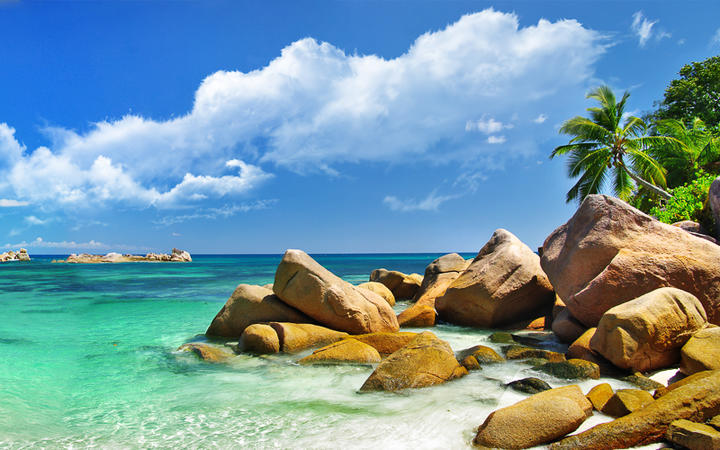 Küstenlandschaft der Seychellen © leoks / Shutterstock.com