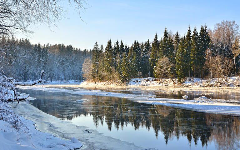 Der Gauja Fluss in der Winterlandschaft von Lettland © Aleksey Stemmer / Shutterstock.com