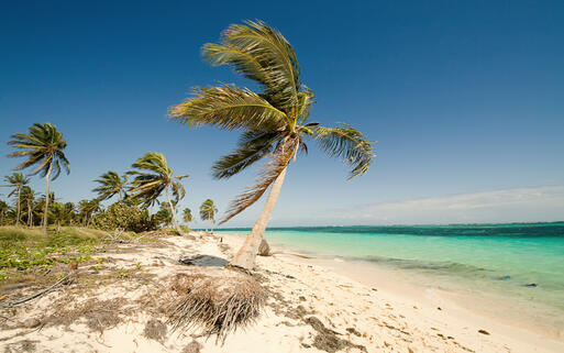Traumstrand an der Küste des Atlantiks © Oleg Danilchenko / Shutterstock.com