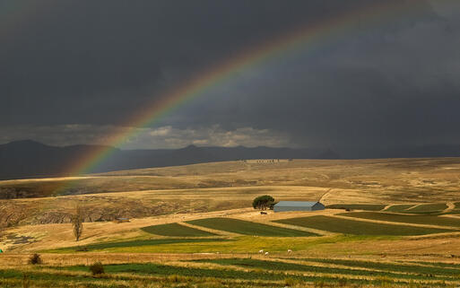 Goldenes Grünland, Barkley East, Südafrika © Arab / Shutterstock.com