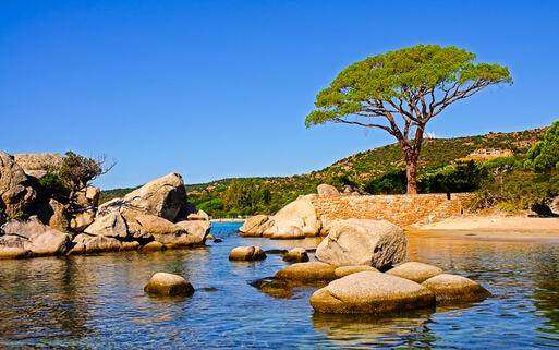 Der wunderschöne Strand Palombaggia auf Korsika © Souchon Yves / Shutterstock.com
