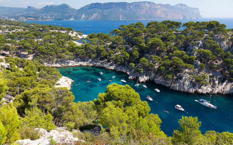 Calanque bei Port Pin in Cassis © Samuel Borges Photography / Shutterstock.com