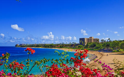 Der Kahana Beach zählt zu Maui's beliebtesten Stränden, Hawaii, USA © tomas del amo / Shutterstock.com