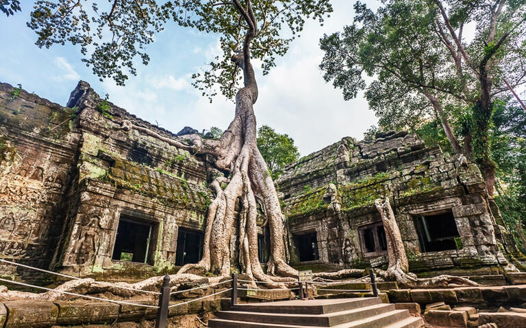 Der Tempel Ta Prohm in Angkor © Kushch Dmitry / Shutterstock.com