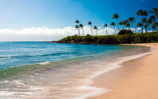 Traumhafter Strand in der Kapalua Bay, Insel Maui, Hawaii © idreamphoto / Shutterstock.com
