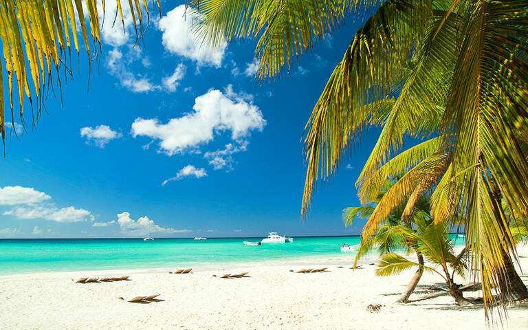 Karibischer Strand auf Paradise Island © photopixel  / Shutterstock.com