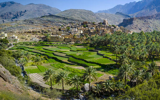 Die Oasenstadt Bilad Sayt in Oman © Byelikova Oksana / Shutterstock.com