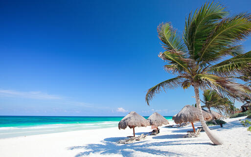 Der karibische Strand in Tulum zählt zu den schönsten Stränden der Welt © BlueOrange Studio / Shutterstock.com