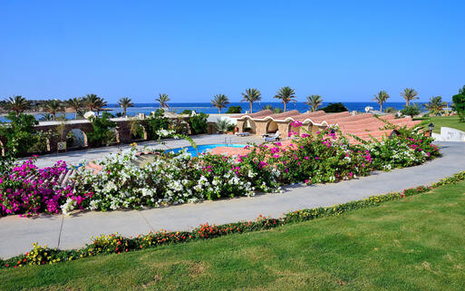 Gartenanlage in einem Hotel in Marsa Alam © maudanros / Shutterstock.com