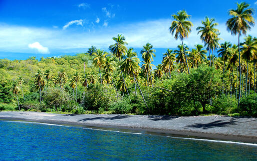 Karibischer Strand mit Palmen in St. Vincent © Laszlo Halasi / Shutterstock.com
