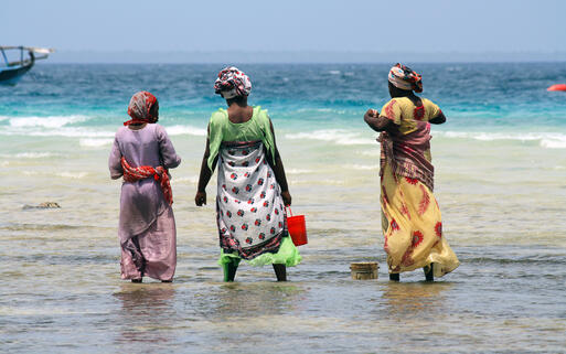 Frauen suchen an der Küste nach Schalentieren © Daniele C / Shutterstock.com