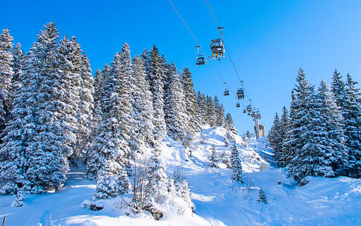 Skilift in den Schweizer Alpen in der Region Luzern © Fedor Selivanov / shutterstock.com