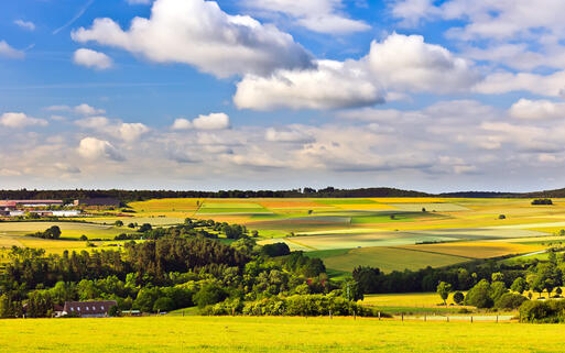 Landschaft des Sauerland © S.Borisov / shutterstock.com