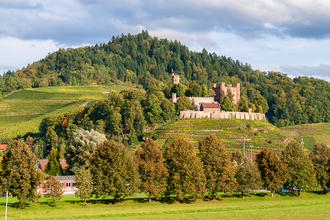 Blick auf das Ortenberg Schloss im Schwarzwald, Deutschland © Leonid Andronov / shutterstock.com