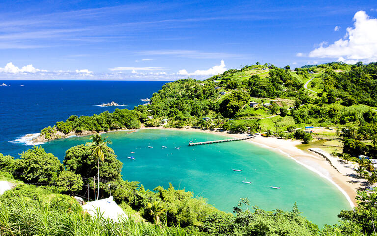 Blick auf die traumhafte Bucht Parlatuvier, Tobago © PHB.cz (Richard Semik) / Shutterstock.com