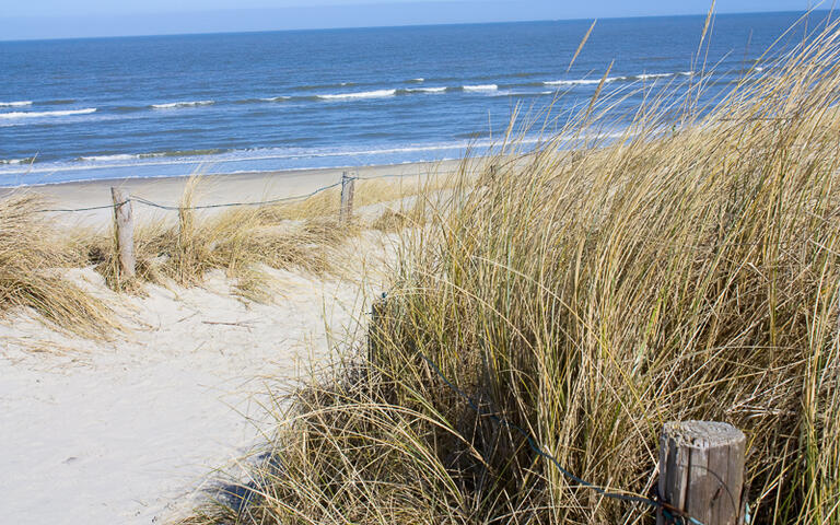 Typischer Strand an der Nordsee © Eva Gruendemann / shutterstock.com