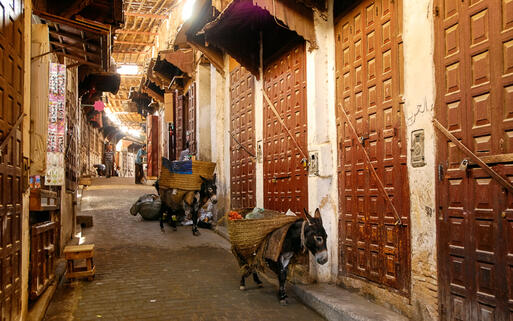Bazarstrasse in Fes, Marokko © Boris Stroujko / Shutterstock.com