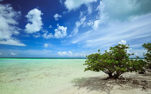 Traumhafter Blick aufs Meer von Cayo Coco, Kuba © /vvital  Shuttertock.com