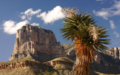 Berge im Guadalupe-Mountains-Nationalpark, Texas, USA © Steve Bower / Shutterstock.com