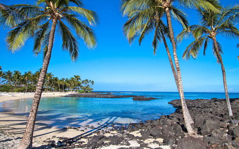 Strand auf der Insel Big Island, Hawaii, USA © Marc Turcan / Shutterstock.com