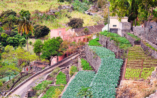 Farm auf Sao Antão © Frank Bach / Shutterstock.com