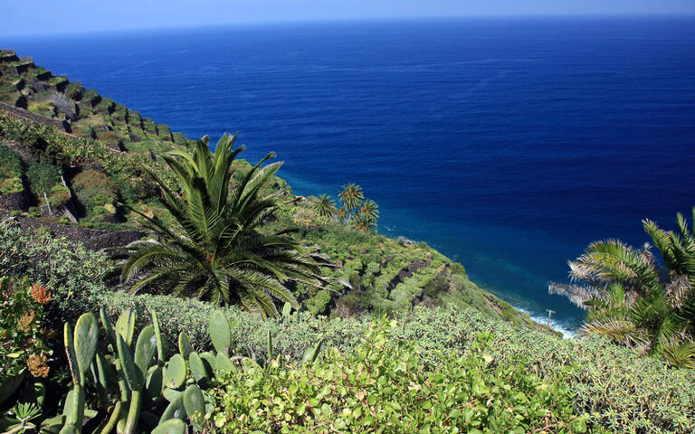 Traumhaft grüne Küstenlandschaft von La Gomera © Anilah / Shutterstock.com