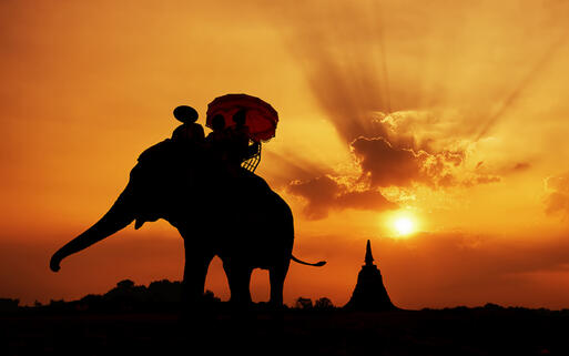 elephant silhouette in thailand © tanatat / Shutterstock.com