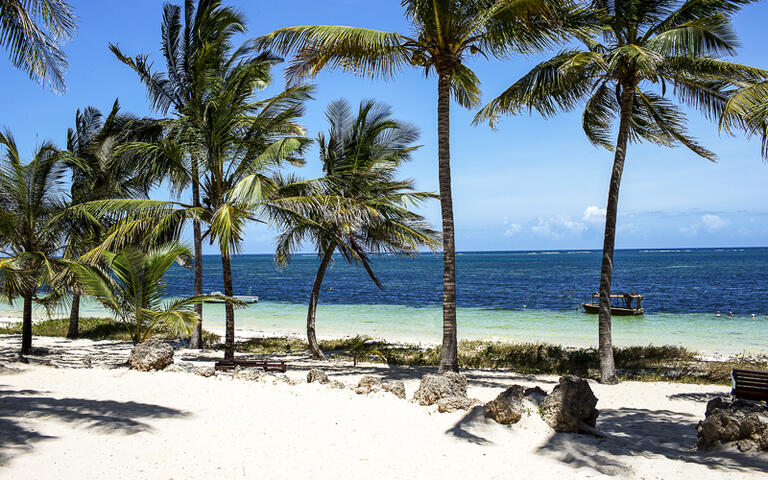 Weisser Sandstrand mit Palmen in Mombasa, Kenia Nordküste © Andrzej Kubik / Shutterstock.com