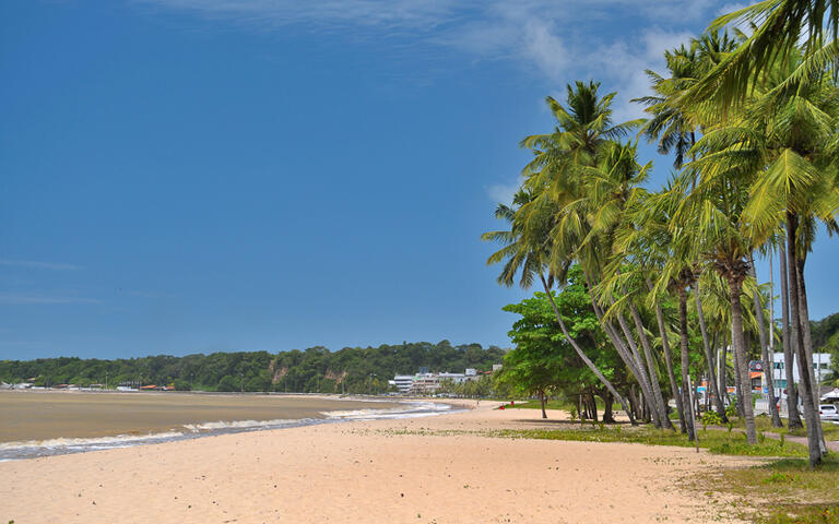 Kokosnusspalmen und feiner Sandstrand in Joao Pessoa, Paraiba, Brasilien © Vitoriano Junior / shutterstock.com