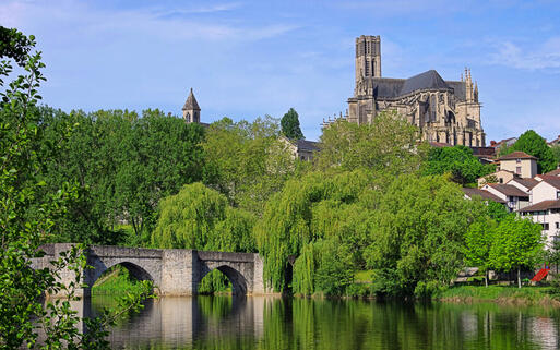 Brücke Saint Martial und die Cathédrale Saint-Étienne in Limoges © LianeM / shutterstock.com