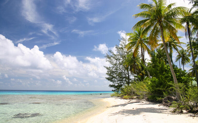 Fakarava Island, Tuamotu Inseln, Französisch-Polynesien © urosr / Shutterstock.com