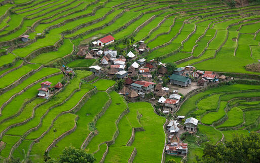 Teil des UNESCO Weltkulturerbe: die Reisterrassen in Batad © Tappasan Phurisamrit / shutterstock.com