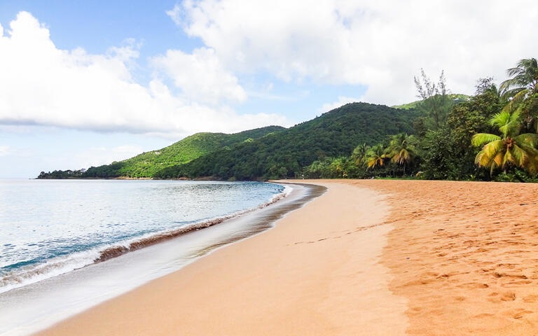 Idyllischer Strandabschnitt auf der Karibikinsel Guadeloupe © PRILL / Shutterstock.com