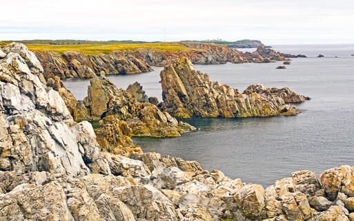 Felsen in der Nähe von Bonavista in Neufundland, Kanada © Wildnerdpix / Shutterstock.com