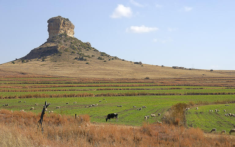 Clarens, Free State in Südafrika © Marietjie / Shutterstock.com