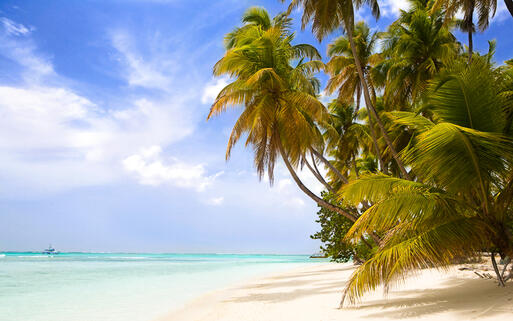 Pigeon Point, Tobago © Ramona Heim / Shutterstock.com