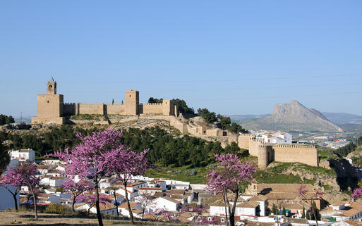 Die Festung Alcazaba von Antequera in der andalusischen Provinz Málaga © Arena Photo UK / Shutterstock.com
