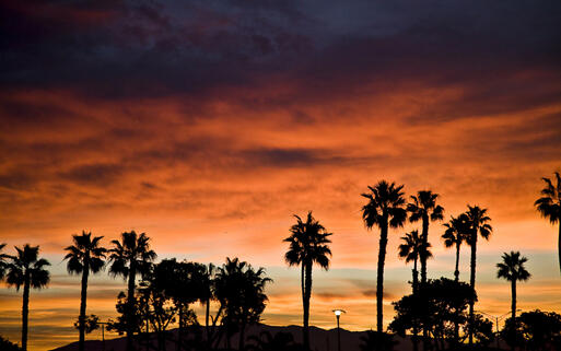 Sonnenaufgang auf der Insel Coronado © aceshot1 / Shutterstock.com